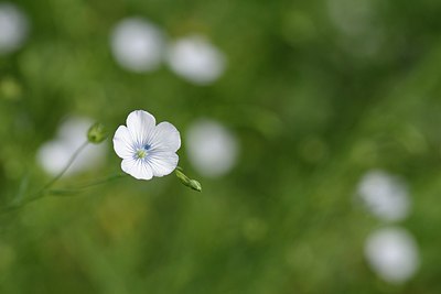 BUITEN BEELD Foto: 202650