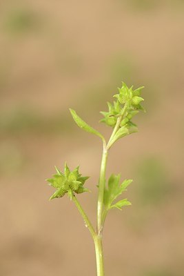 BUITEN BEELD Foto: 202657