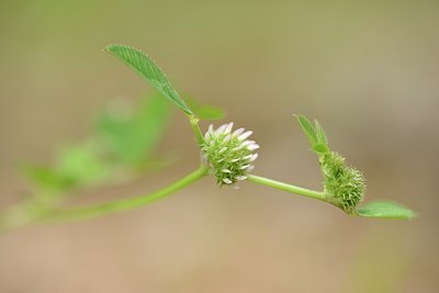 BUITEN BEELD Foto: 202675