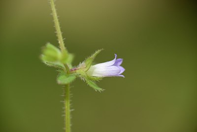 BUITEN BEELD Foto: 202680