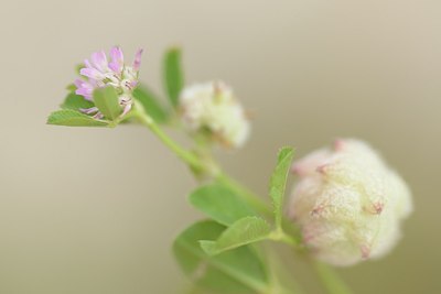 BUITEN BEELD Foto: 202681