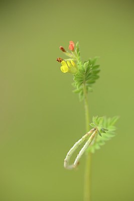 BUITEN BEELD Foto: 202723