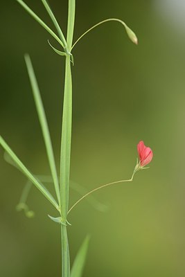 BUITEN BEELD Foto: 202752