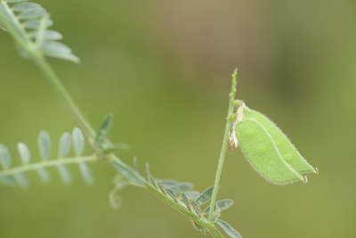 BUITEN BEELD Foto: 202765