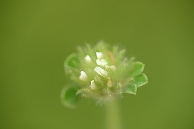 BUITEN BEELD Foto: 202790