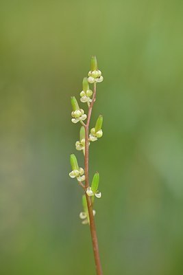 BUITEN BEELD Foto: 202803