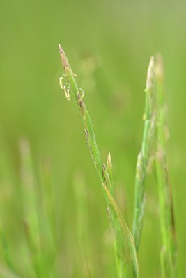 BUITEN BEELD Foto: 202846