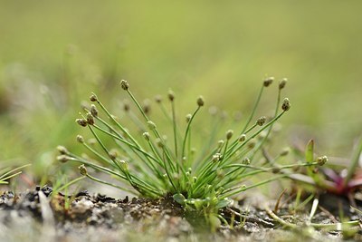 BUITEN BEELD Foto: 202880