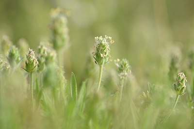 BUITEN BEELD Foto: 202917