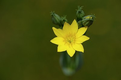 BUITEN BEELD Foto: 202928