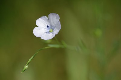 BUITEN BEELD Foto: 202938