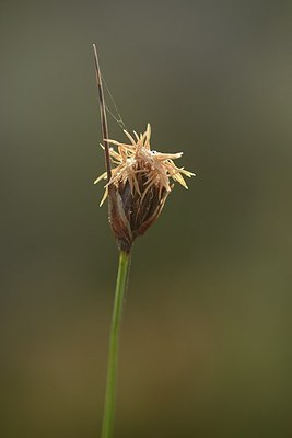 BUITEN BEELD Foto: 202950