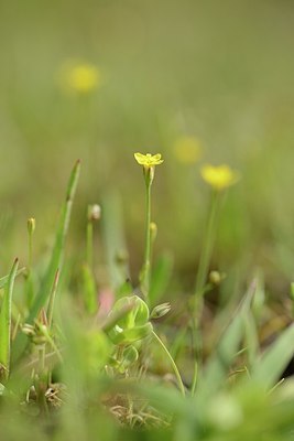 BUITEN BEELD Foto: 202963