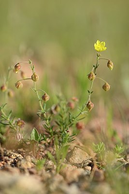 BUITEN BEELD Foto: 203026