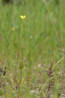 BUITEN BEELD Foto: 203056