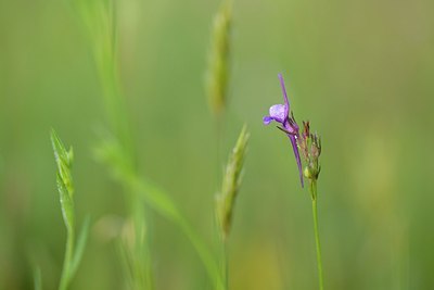 BUITEN BEELD Foto: 203062