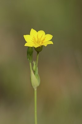 BUITEN BEELD Foto: 203075