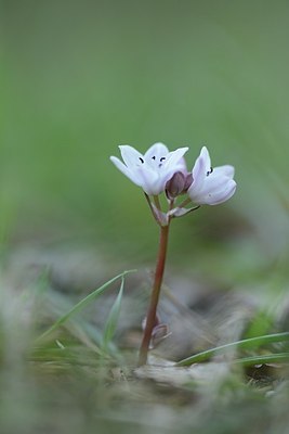 BUITEN BEELD Foto: 203156