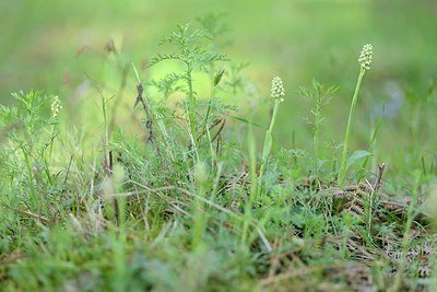 BUITEN BEELD Foto: 203169