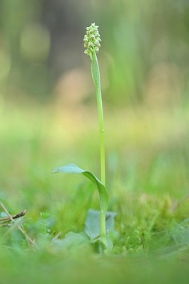 BUITEN BEELD Foto: 203172