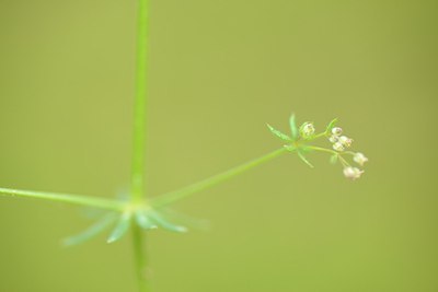 BUITEN BEELD Foto: 203178