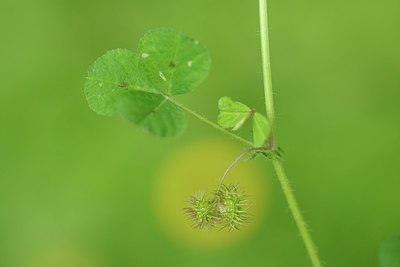 BUITEN BEELD Foto: 203196