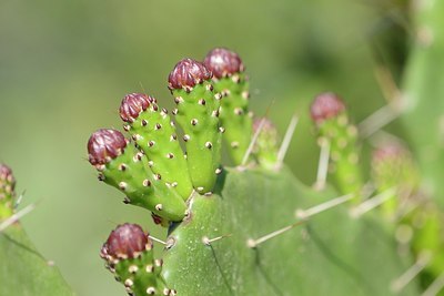 BUITEN BEELD Foto: 203222