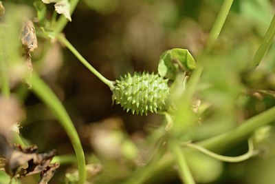 BUITEN BEELD Foto: 203225