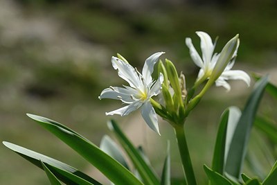 BUITEN BEELD Foto: 203249