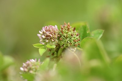 BUITEN BEELD Foto: 203267