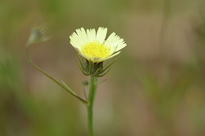 BUITEN BEELD Foto: 203275