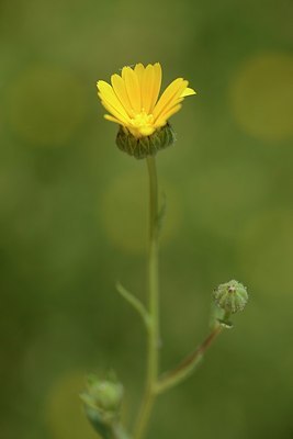 BUITEN BEELD Foto: 203300