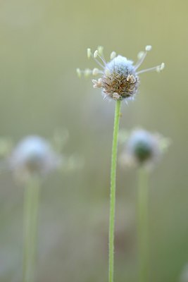 BUITEN BEELD Foto: 203312