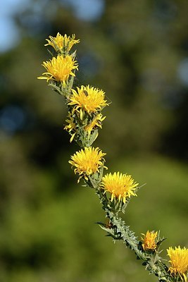 BUITEN BEELD Foto: 203324
