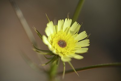 BUITEN BEELD Foto: 203350