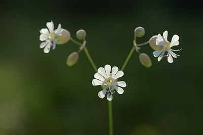 BUITEN BEELD Foto: 203362