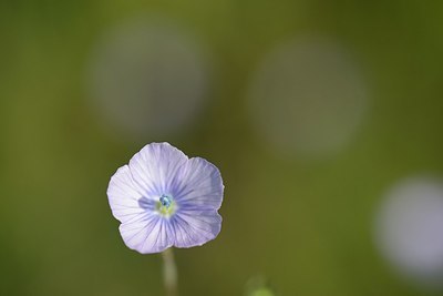 BUITEN BEELD Foto: 203381