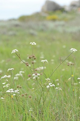 BUITEN BEELD Foto: 203396