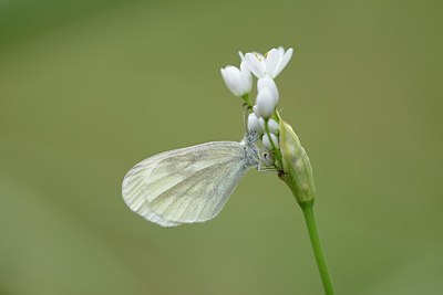 BUITEN BEELD Foto: 203532