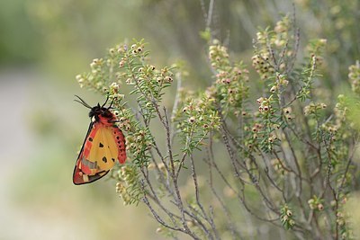 BUITEN BEELD Foto: 203644