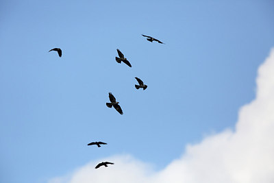 BUITEN BEELD Foto: 203665