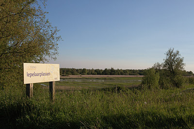 BUITEN BEELD Foto: 203695
