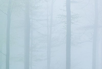 BUITEN BEELD Foto: 203716
