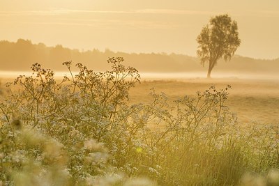 BUITEN BEELD Foto: 203728