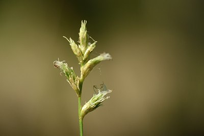 BUITEN BEELD Foto: 203765