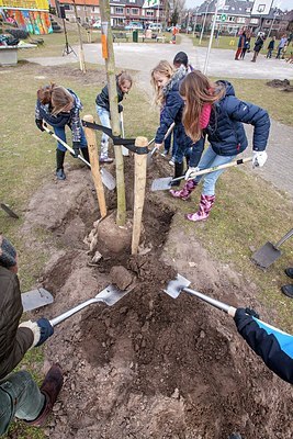 BUITEN BEELD Foto: 203917