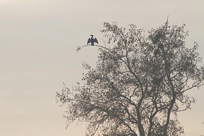 BUITEN BEELD Foto: 203990