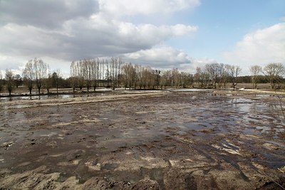 BUITEN BEELD Foto: 204039