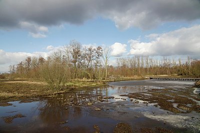 BUITEN BEELD Foto: 204040