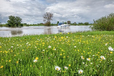 BUITEN BEELD Foto: 204059